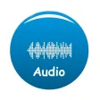 Audio Ebook