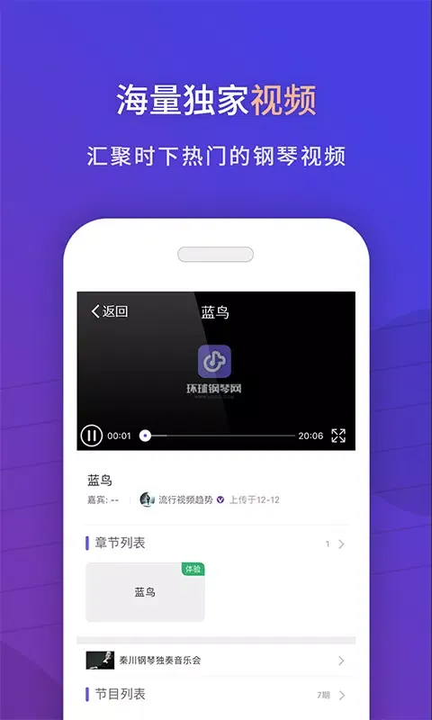 Capturas de tela do 环球钢琴网
