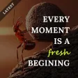 Inspirational Quotes - Daily