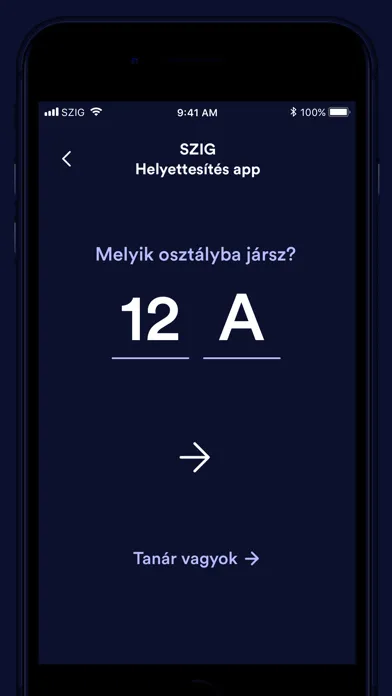 SZIG Helyettesítés スクリーンショット