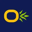 TYNGO Staff Order