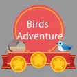 Birds Crazy Adventure