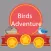 Birds Crazy Adventure