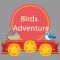 Birds Crazy Adventure