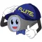 FUJITEL IP