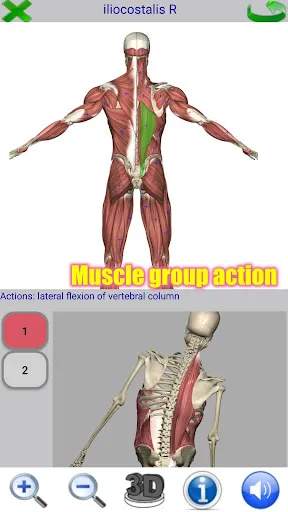 Visual Anatomy 2 Screenshots