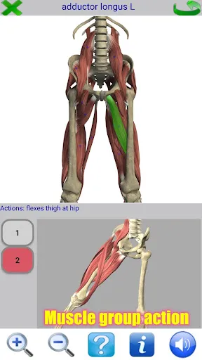 Visual Anatomy 2 Screenshots