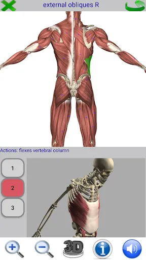 Visual Anatomy 2 Screenshots
