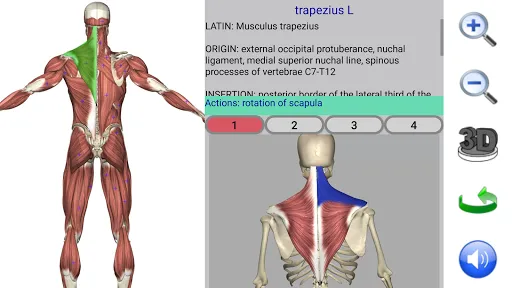 Visual Anatomy 2 Screenshots