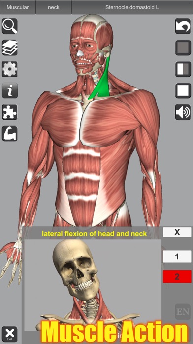 3D Anatomy スクリーンショット