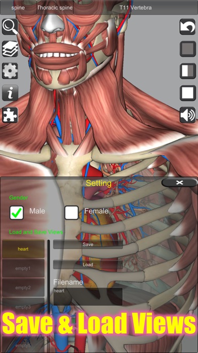 3D Anatomy スクリーンショット