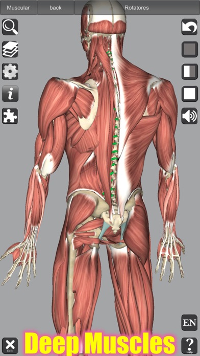 3D Anatomy スクリーンショット