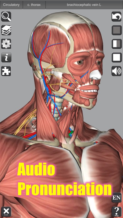 3D Anatomy スクリーンショット