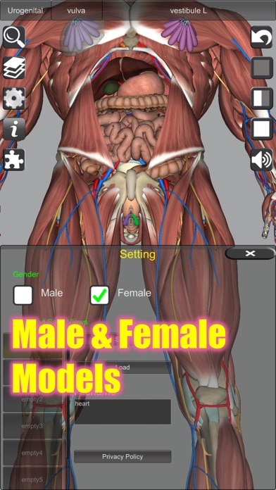 3D Anatomy スクリーンショット