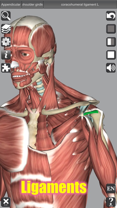 3D Anatomy スクリーンショット