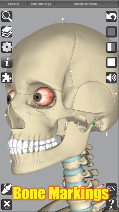 3D Anatomy スクリーンショット