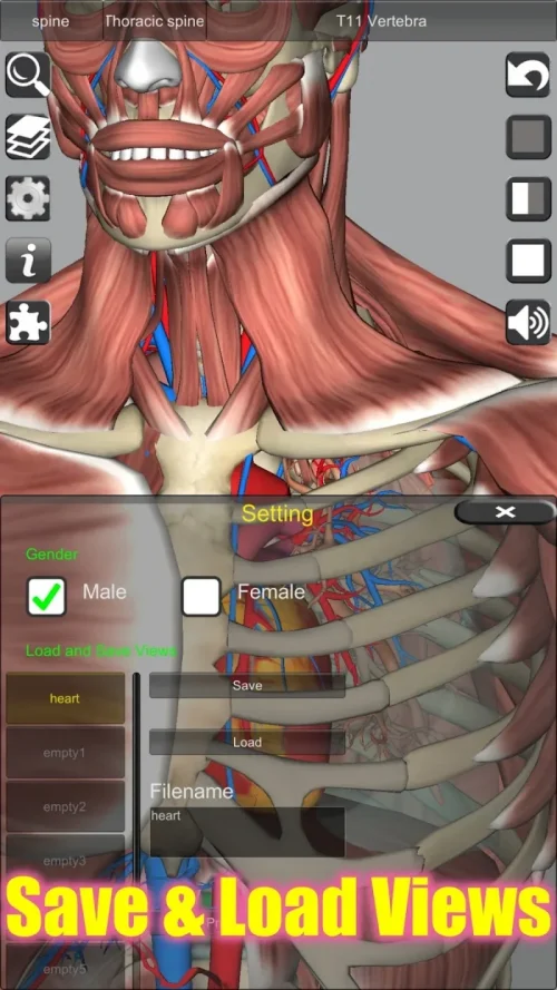 3D Anatomy-screenshot-4