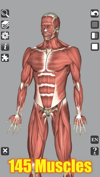 3D Bones and Muscles (Anatomy) 스크린샷