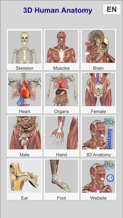 3D Bones and Muscles (Anatomy) 스크린샷