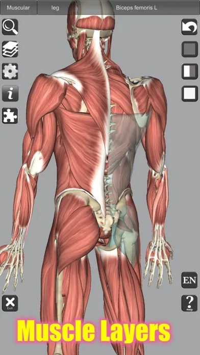 3D Bones and Muscles (Anatomy) 스크린샷