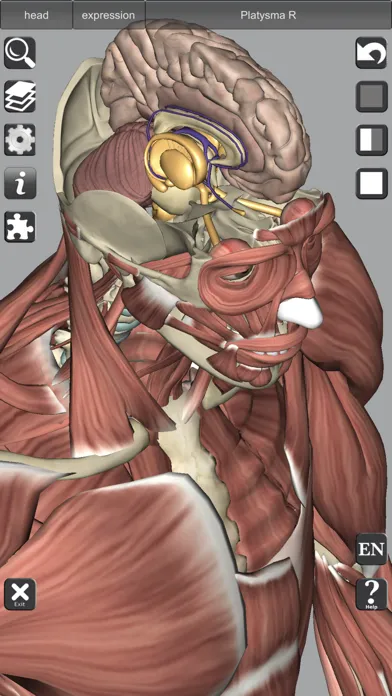 3D Bones and Muscles (Anatomy) 스크린샷