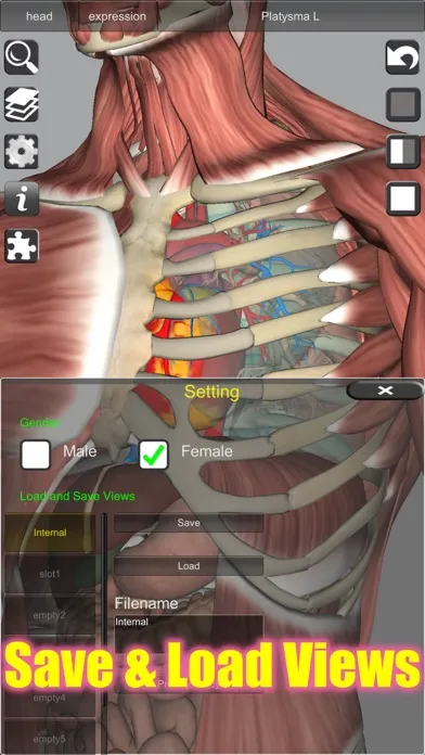 3D Bones and Muscles (Anatomy) 스크린샷
