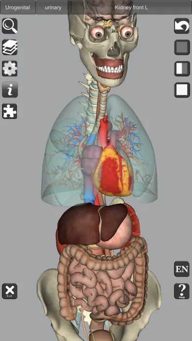 3D Bones and Muscles (Anatomy) 스크린샷