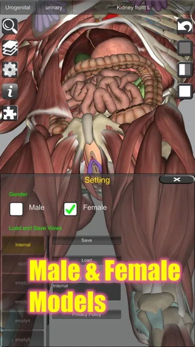 3D Bones and Muscles (Anatomy) 스크린샷