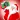 Christmas Camera Frames