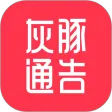 灰豚通告