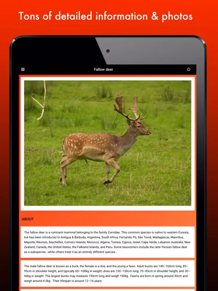 Deer Species: Amazing Creatures of the Forest iPad  스크린샷