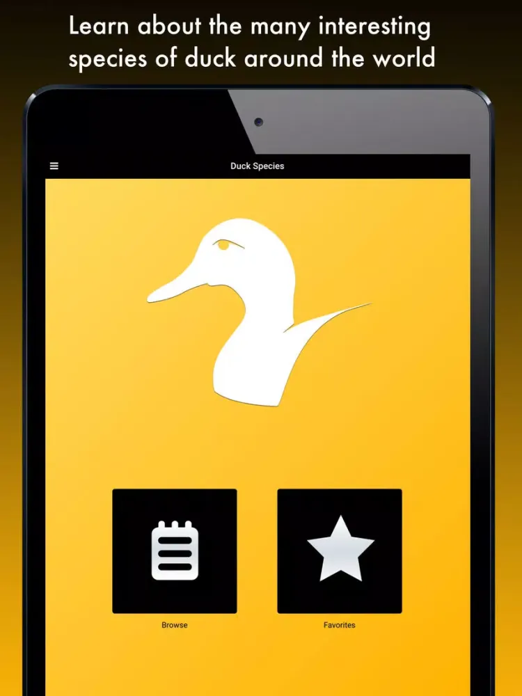 Duck Species: Types of Duck iPad  Screenshots