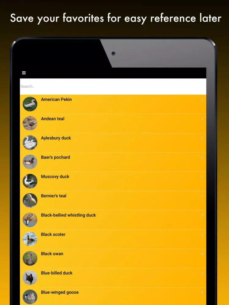 Duck Species: Types of Duck iPad  Screenshots
