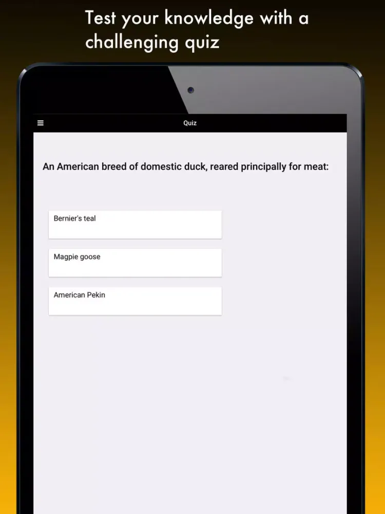 Duck Species: Types of Duck iPad  Screenshots