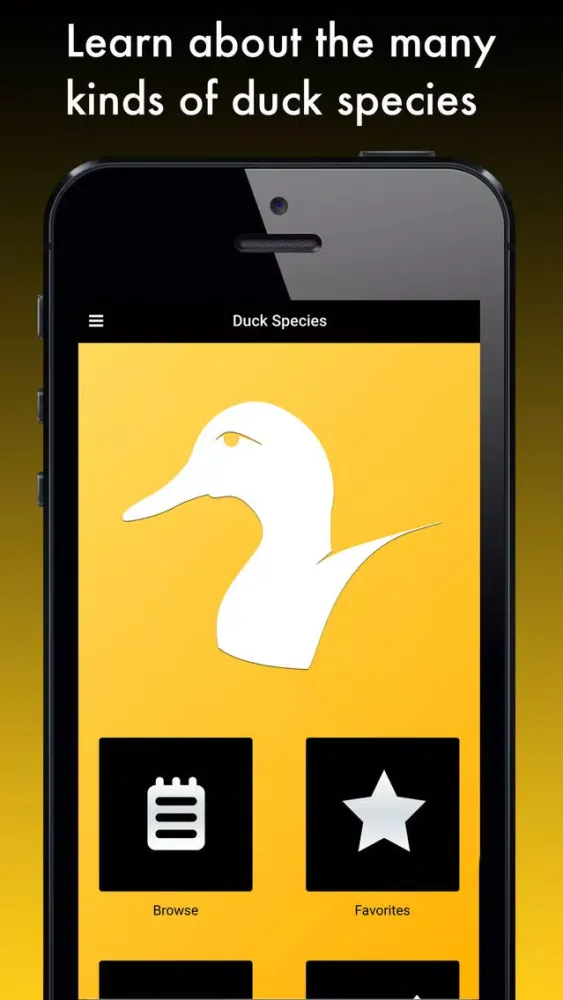 Duck Species: Types of Duck Screenshots