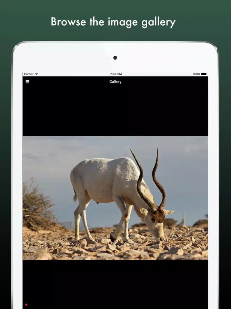 Captures d'écran de Endangered Species: The Last of Their Kind iPad 