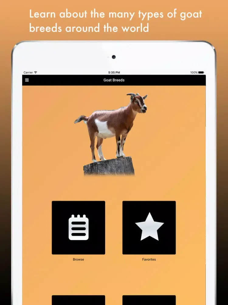Goat Breeds: Various Types of Goat iPad  Ekran Görüntüleri