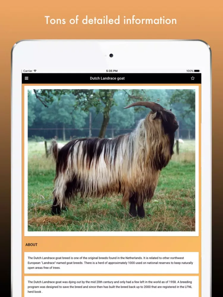 Goat Breeds: Various Types of Goat iPad  Ekran Görüntüleri
