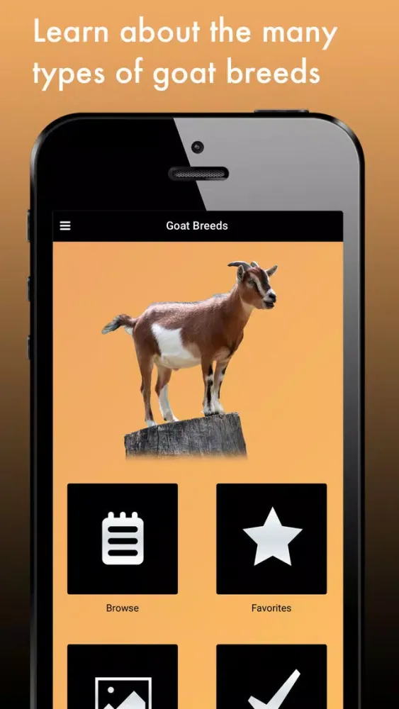 Goat Breeds: Various Types of Goat Ekran Görüntüleri