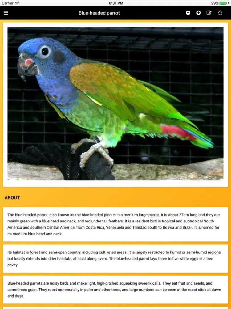 Parrot Species Bible iPad  Screenshots