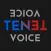 Reverse Voice - TENET