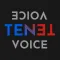 Reverse Voice - TENET