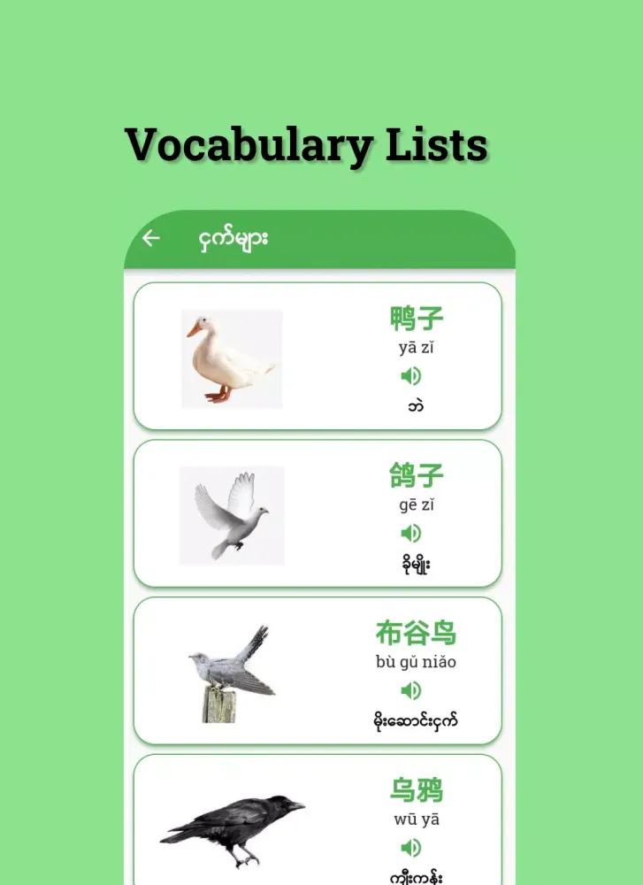 Learn Chinese Words 스크린샷