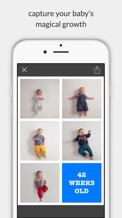 Скриншоты Baby Whale - The Baby Art App