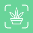 植物识别-细致拍照识物花鸟鱼虫