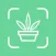 植物识别-细致拍照识物花鸟鱼虫