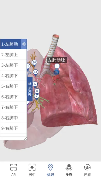 人卫3D人体解剖图谱 Screenshots