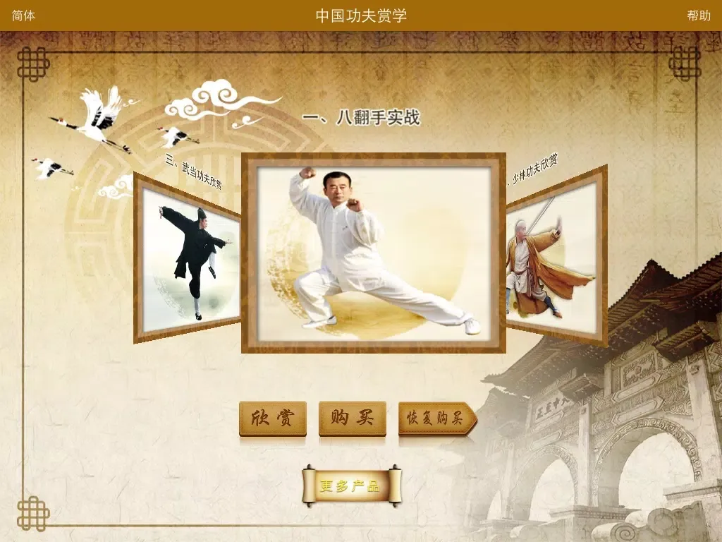 中国功夫赏学-武术名家视频讲解示范 iPad 應用截圖