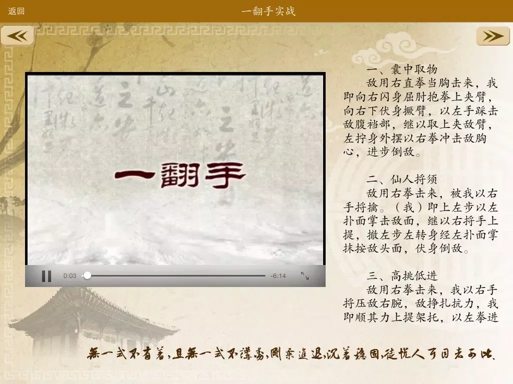 中国功夫赏学-武术名家视频讲解示范 iPad 應用截圖