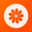 任性花 -大额极速贷款,网贷,借贷资讯